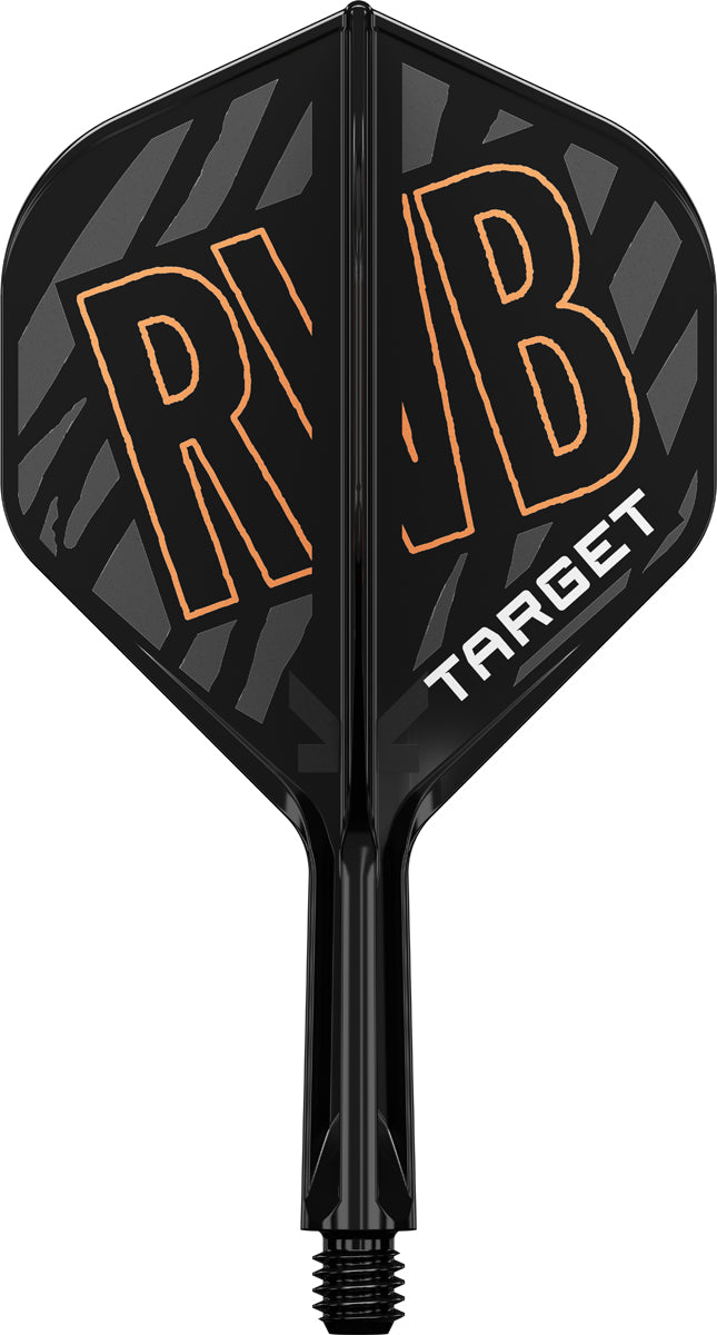 Target K-Flex Raymond van Barneveld